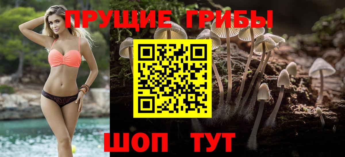 Галлюциногенные грибы GOLDEN TEACHER  Галлюциногенные грибы Magic Shrooms  Вход с VPN  Новокубанск 